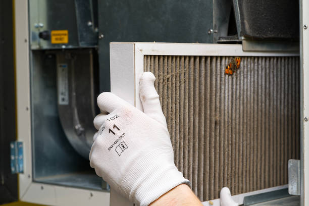 Best Best Air Duct Cleaning Company  in Hatch, NM